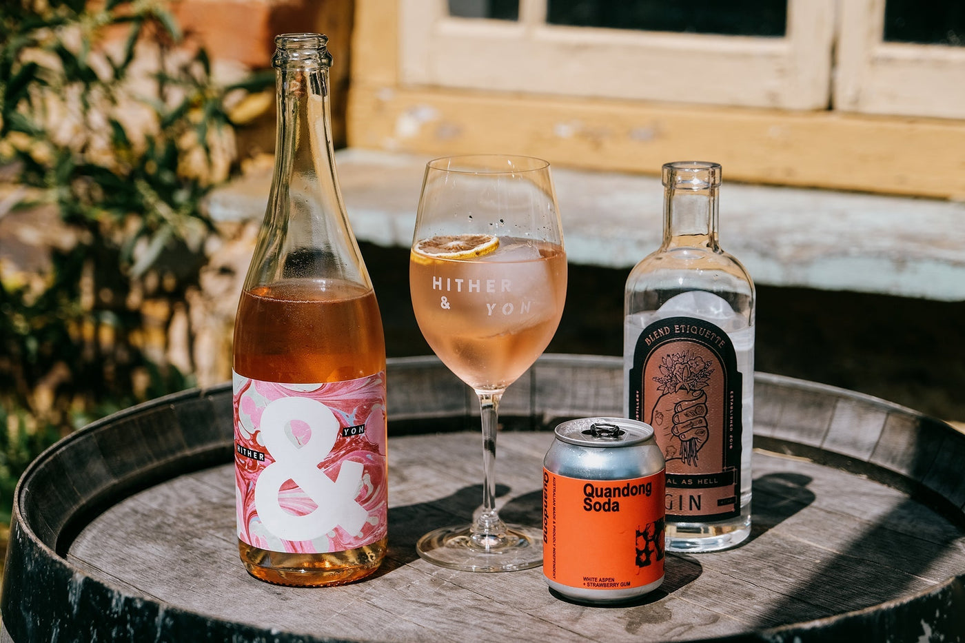 Pink Fizz Spritz Recipe