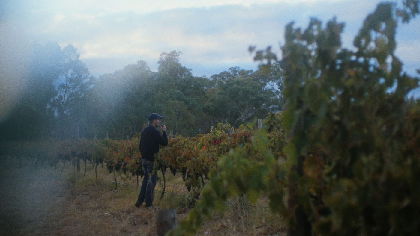 15 MINUTES WITH OUR VIGNERON & WINEMAKER RICHARD LEASK